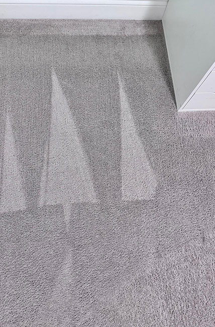 Preguntas y Respuesta 1